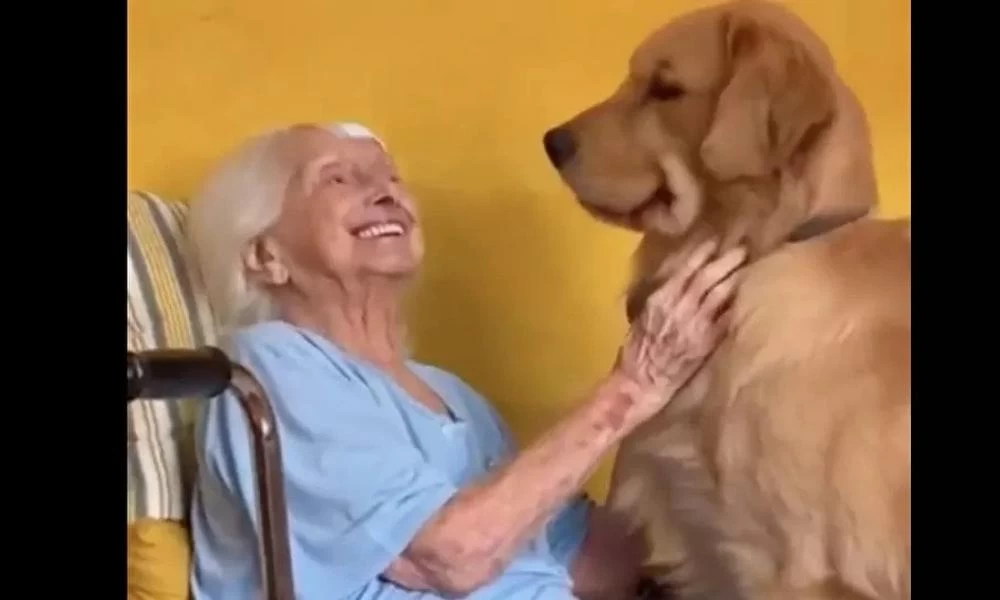 Γιαγιά 101 ετών και σκυλάκος είναι αχώριστοι φίλοι